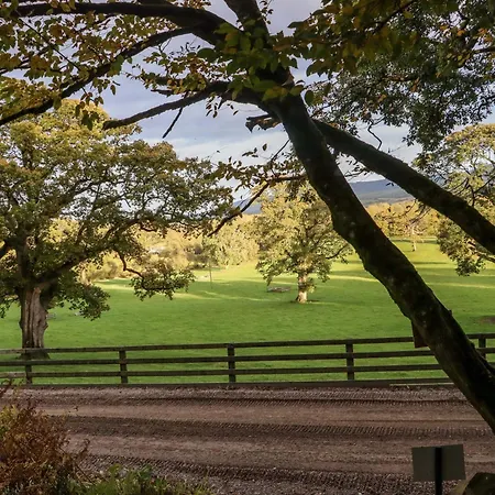 Ballybeg Pod 4 Arklow