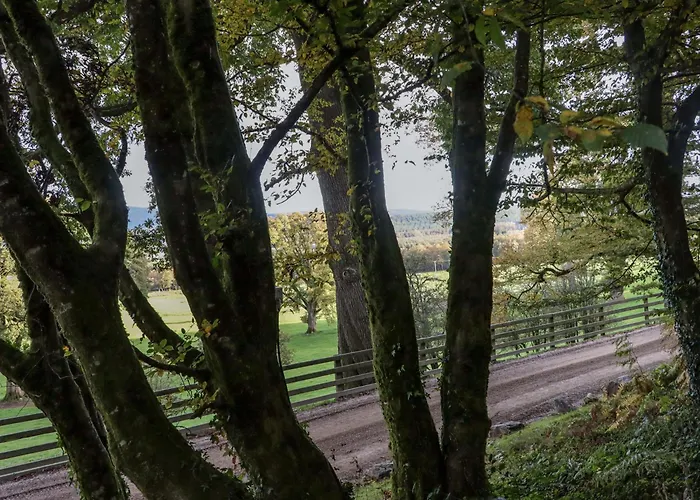 Ballybeg Pod 4 *