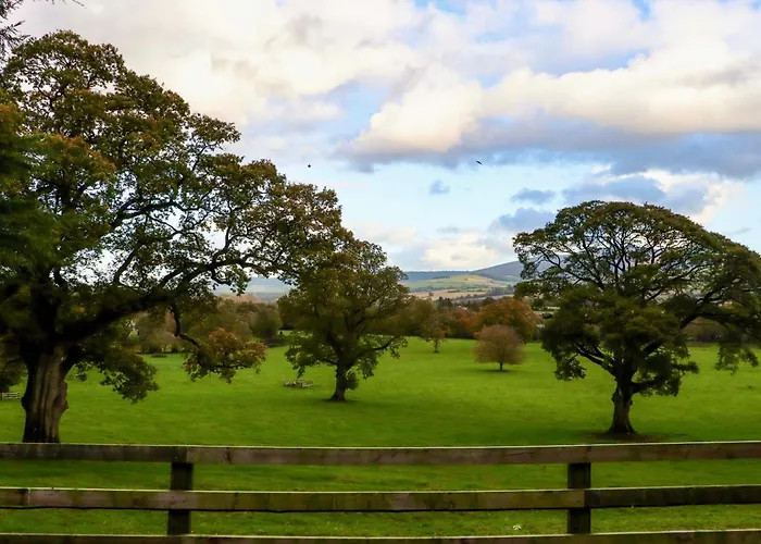 Ballybeg Pod 4 Arklow