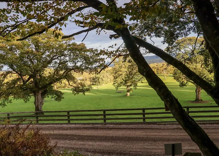 Ballybeg Pod 4 Arklow